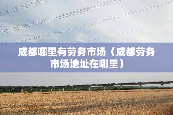 成都哪里有劳务市场（成都劳务市场地址在哪里）
