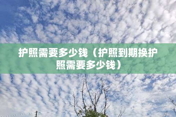 护照需要多少钱（护照到期换护照需要多少钱）