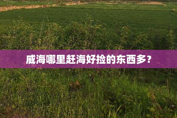 威海哪里赶海好捡的东西多？