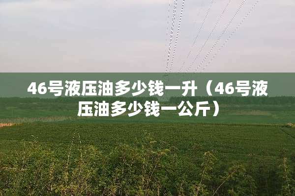 46号液压油多少钱一升（46号液压油多少钱一公斤）