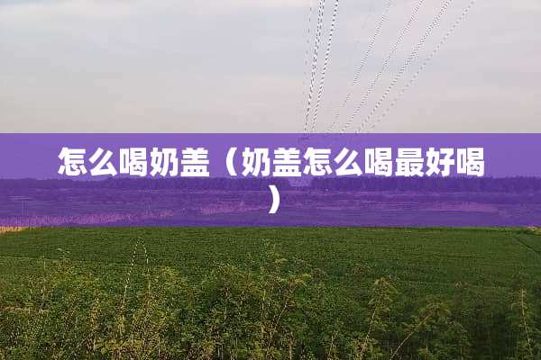 怎么喝奶盖（奶盖怎么喝最好喝）