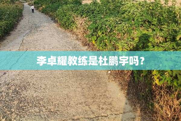 李卓耀教练是杜鹏宇吗？