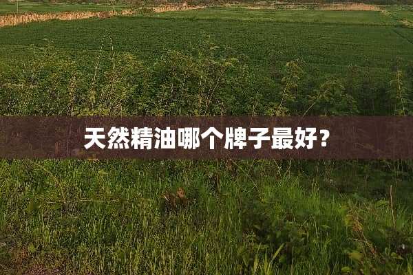 天然精油哪个牌子最好？