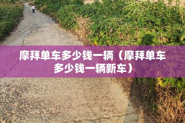 摩拜单车多少钱一辆（摩拜单车多少钱一辆新车）