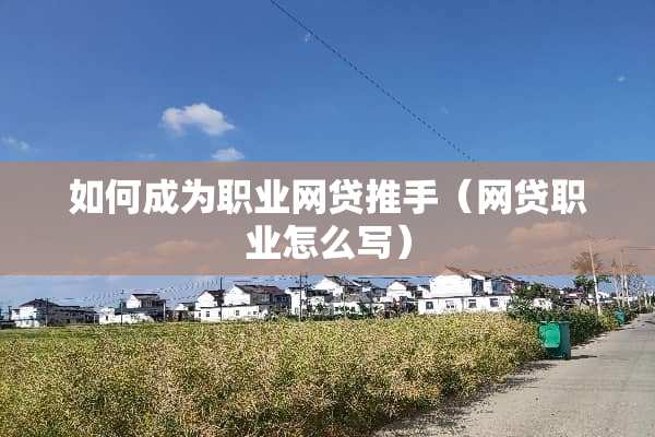 如何成为职业网贷推手（网贷职业怎么写）
