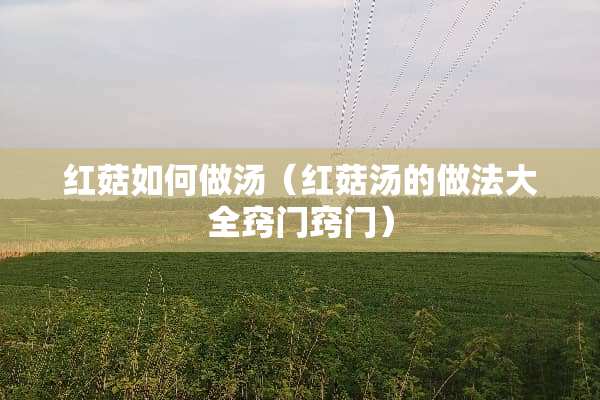 红菇如何做汤（红菇汤的做法大全窍门窍门）