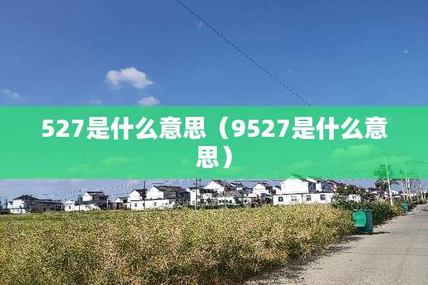 527是什么意思（9527是什么意思）