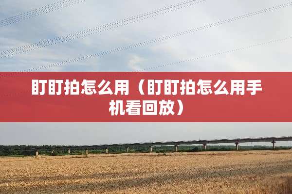 盯盯拍怎么用（盯盯拍怎么用手机看回放）