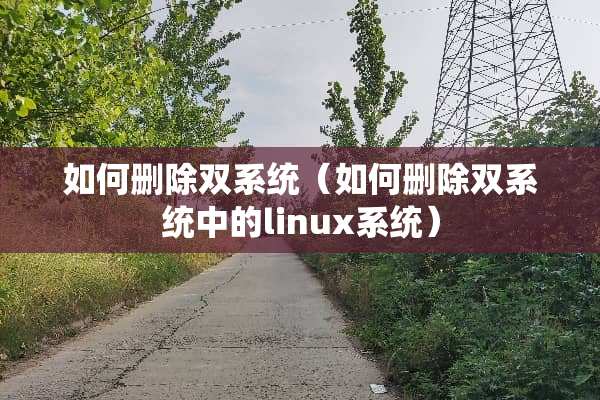 如何删除双系统（如何删除双系统中的linux系统）