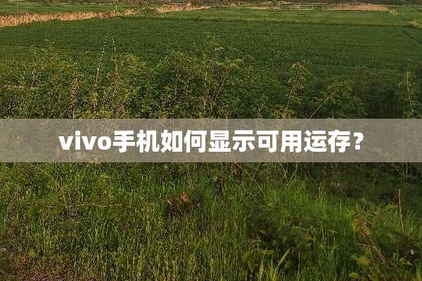 vivo手机如何显示可用运存？