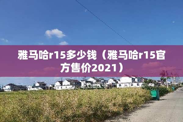 ***r15多少钱（***r15官方售价2021）