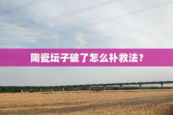 陶瓷坛子破了怎么补救法？