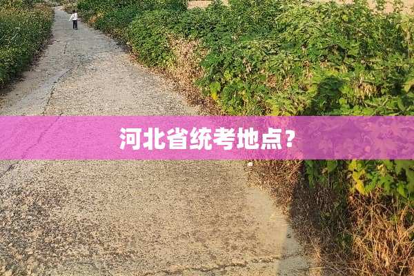 河北省统考地点？
