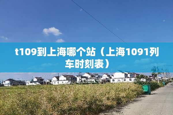 t109到上海哪个站（上海1091列车时刻表）