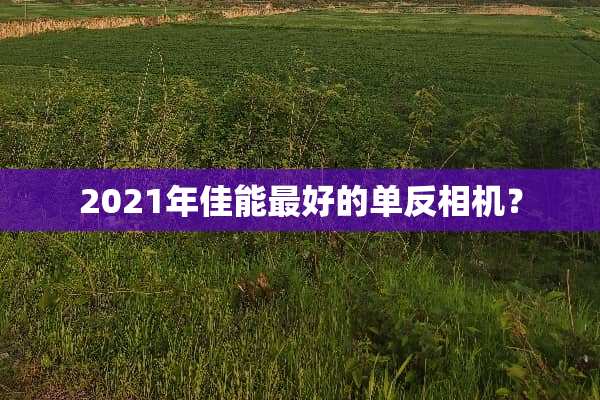 2021年佳能最好的单反相机？