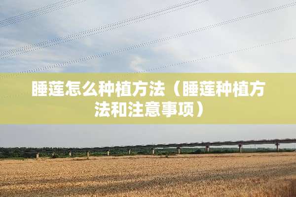 睡莲怎么种植方法（睡莲种植方法和注意事项）