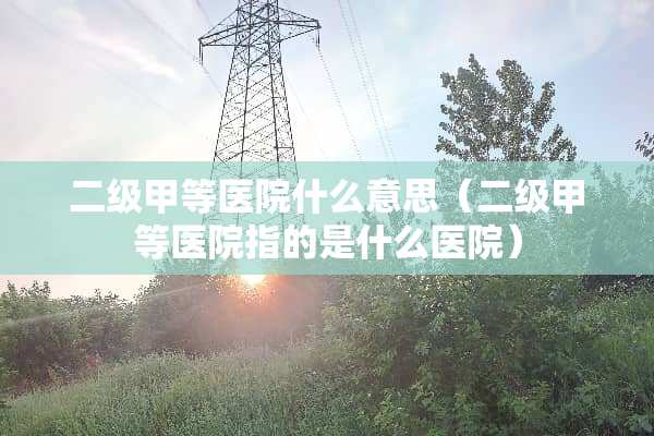 二级甲等医院什么意思（二级甲等医院指的是什么医院）