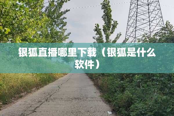 银狐直播哪里下载（银狐是什么软件）