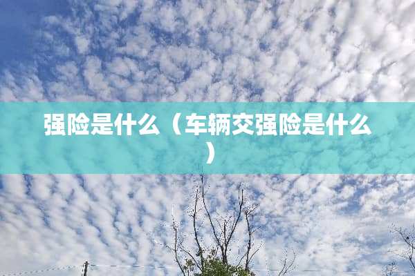 强险是什么（车辆交强险是什么）