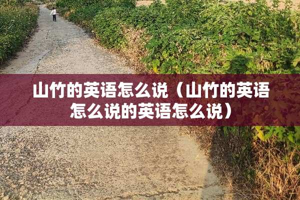 山竹的英语怎么说（山竹的英语怎么说的英语怎么说）