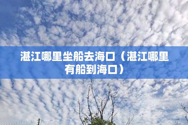 湛江哪里坐船去海口（湛江哪里有船到海口）