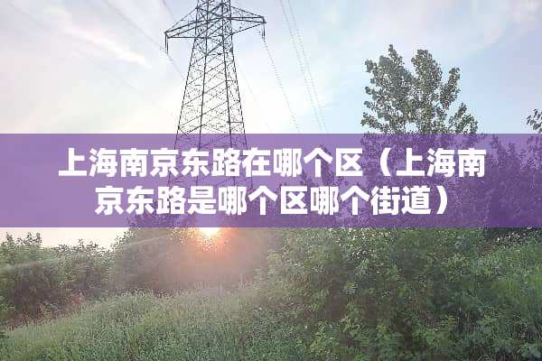 上海南京东路在哪个区（上海南京东路是哪个区哪个街道）
