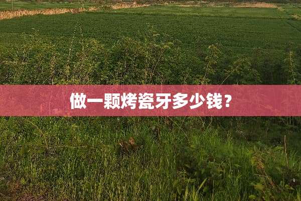 做一颗烤瓷牙多少钱？