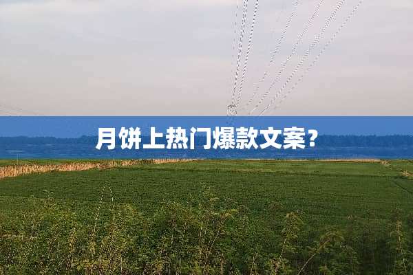 月饼上热门爆款文案？