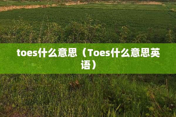 toes什么意思（Toes什么意思英语）
