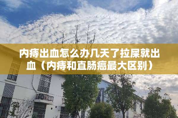内痔出血怎么办几天了拉屎就出血（内痔和直肠癌最大区别）