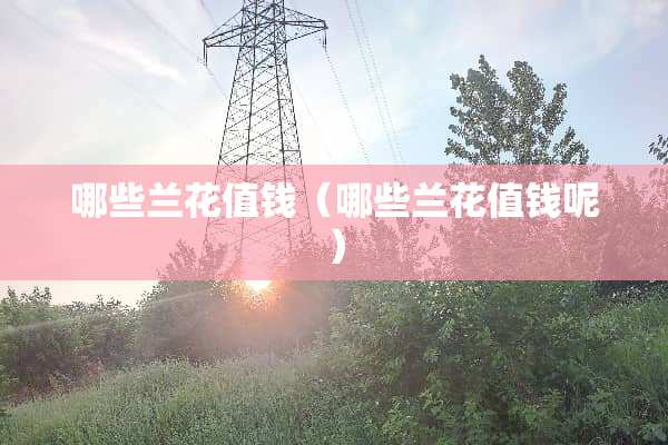 哪些兰花值钱（哪些兰花值钱呢）