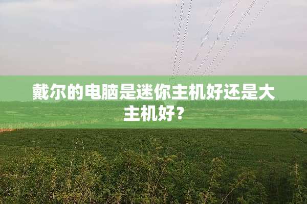 戴尔的电脑是迷你主机好还是大主机好？