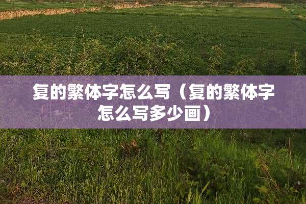 复的繁体字怎么写（复的繁体字怎么写多少画）