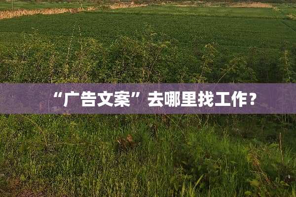 “广告文案”去***工作？