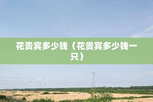 花贵宾多少钱（花贵宾多少钱一只）