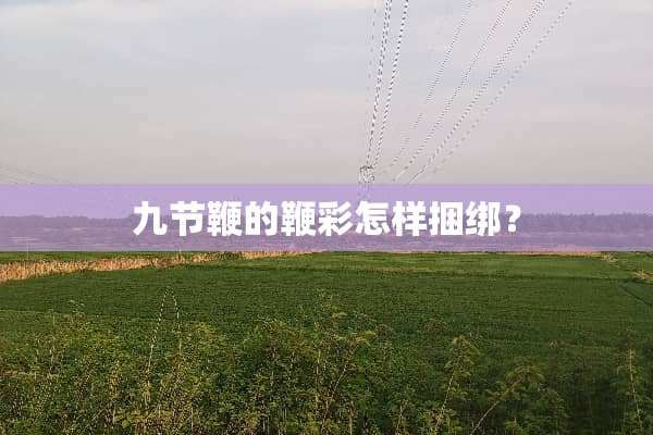 九节鞭的鞭彩怎样**？