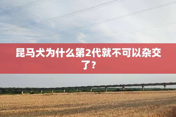 昆马犬为什么第2代就不可以杂交了？