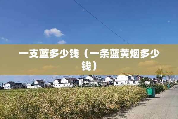 一支蓝多少钱（一条蓝黄烟多少钱）