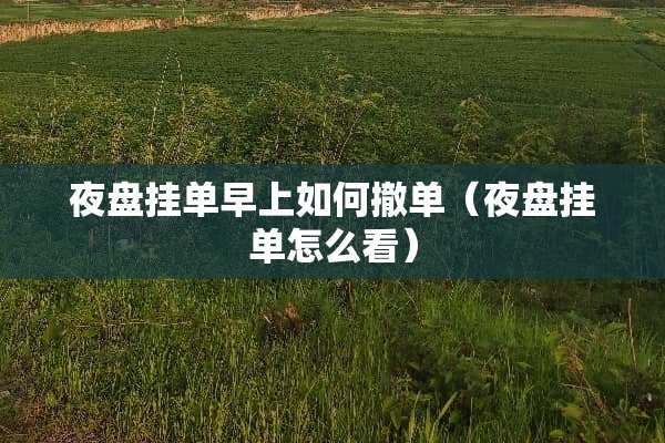 夜盘挂单早上如何撤单（夜盘挂单怎么看）