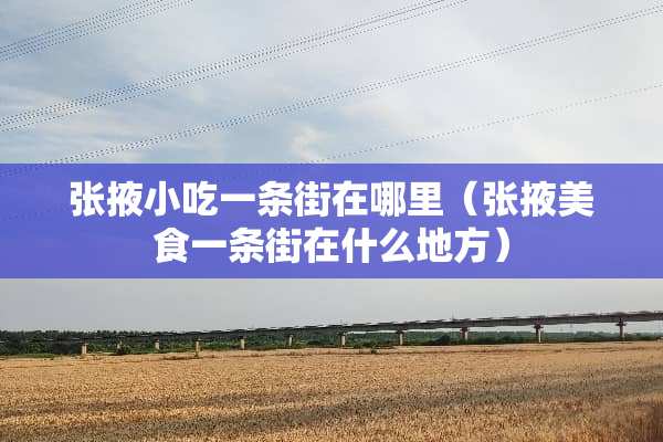 张掖小吃一条街在哪里（张掖美食一条街在什么地方）