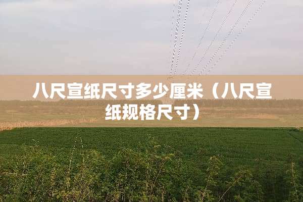 八尺宣纸尺寸多少厘米（八尺宣纸规格尺寸）