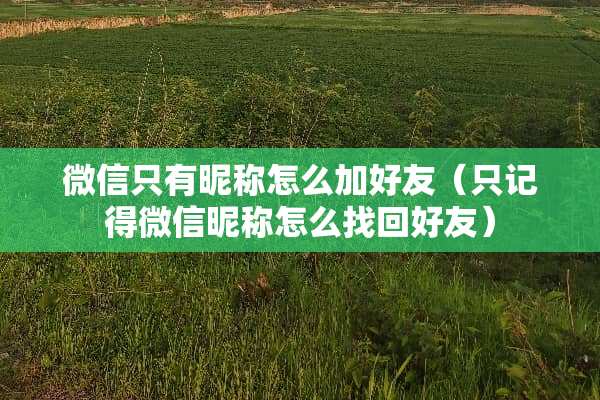 微信只有昵称怎么加好友（只记得微信昵称怎么找回好友）
