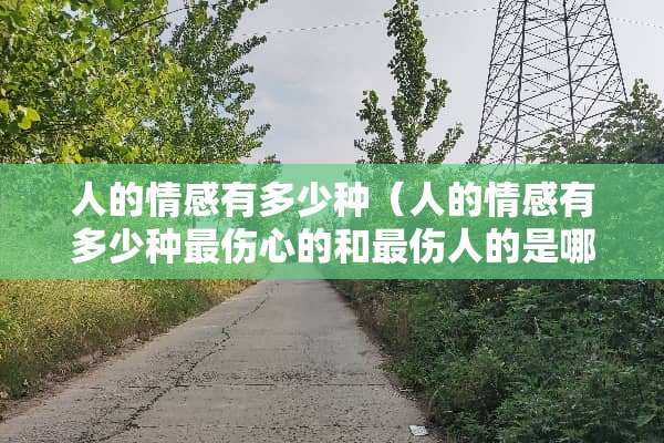 人的情感有多少种（人的情感有多少种最伤心的和最伤人的是哪一种经典语录）