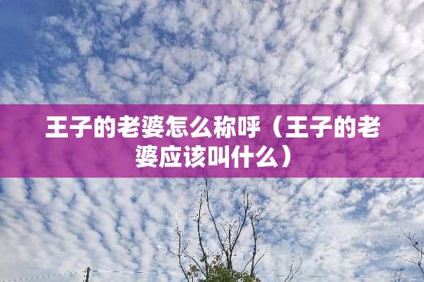 王子的老婆怎么称呼（王子的老婆应该叫什么）