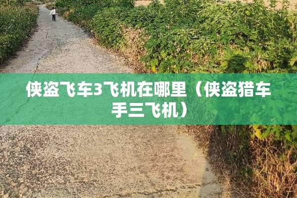 侠盗飞车3飞机在哪里（侠盗猎车手三飞机）