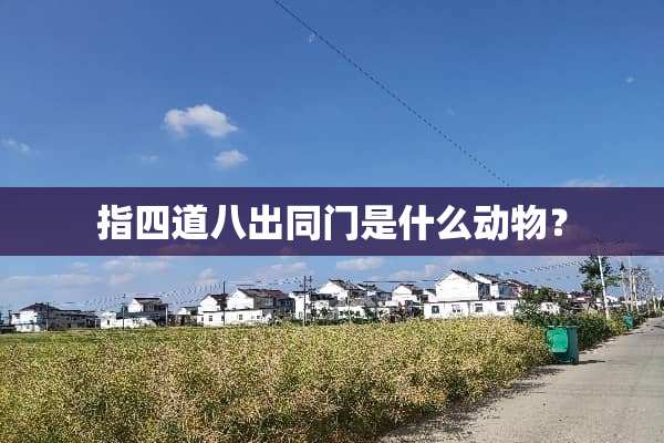 指四道八出同门是什么动物？