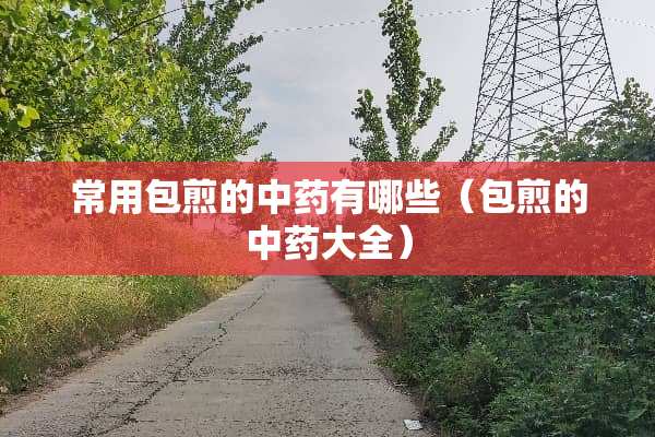 常用包煎的中药有哪些（包煎的中药大全）
