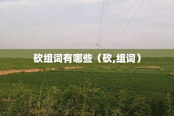 砍组词有哪些（砍,组词）