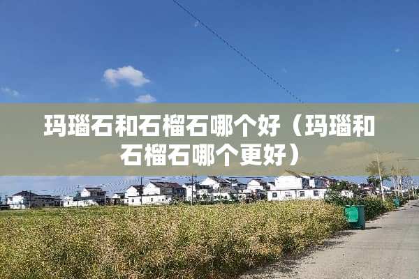 玛瑙石和石榴石哪个好（玛瑙和石榴石哪个更好）