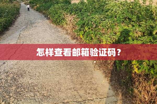 怎样查看邮箱验证码？